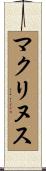 マクリヌス Scroll