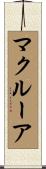 マクルーア Scroll