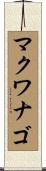 マクワナゴ Scroll