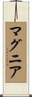 マグニア Scroll