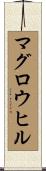 マグロウヒル Scroll