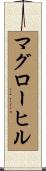 マグローヒル Scroll