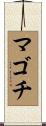 マゴチ Scroll