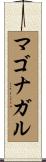 マゴナガル Scroll