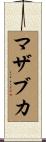 マザブカ Scroll
