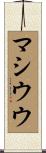 Matthieu Scroll