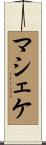 マシェケ Scroll