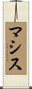 マシス Scroll