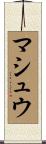 マシュウ Scroll