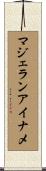 マジェランアイナメ Scroll