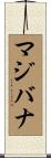 マジバナ Scroll