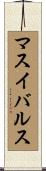 マスイバルス Scroll
