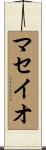 マセイオ Scroll