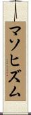 マソヒズム Scroll