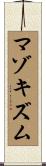 マゾキズム Scroll