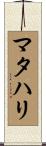 マタハリ Scroll