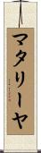 マタリーヤ Scroll