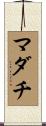 マダチ Scroll