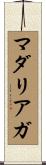 マダリアガ Scroll