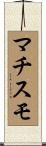 マチスモ Scroll