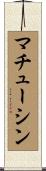マチューシン Scroll