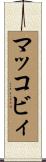 マッコビィ Scroll