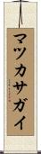 マツカサガイ Scroll
