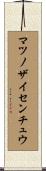 マツノザイセンチュウ Scroll