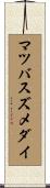 マツバスズメダイ Scroll