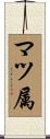 マツ属 Scroll