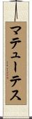 マテューテス Scroll