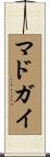 マドガイ Scroll