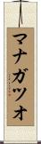 マナガツオ Scroll