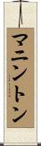 マニントン Scroll