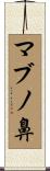 マブノ鼻 Scroll