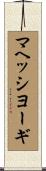 マヘッシヨーギ Scroll