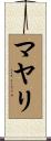 マヤリ Scroll