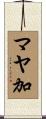 マヤ加 Scroll