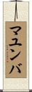 マユンバ Scroll