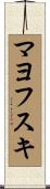 マヨフスキ Scroll