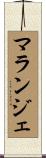 マランジェ Scroll