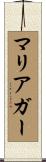 マリアガー Scroll