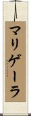 マリゲーラ Scroll