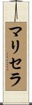 Maricela Scroll