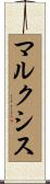マルクシス Scroll