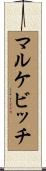 マルケビッチ Scroll