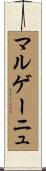 マルゲーニュ Scroll