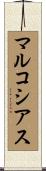 マルコシアス Scroll