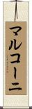 マルコーニ Scroll