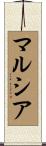 マルシア Scroll